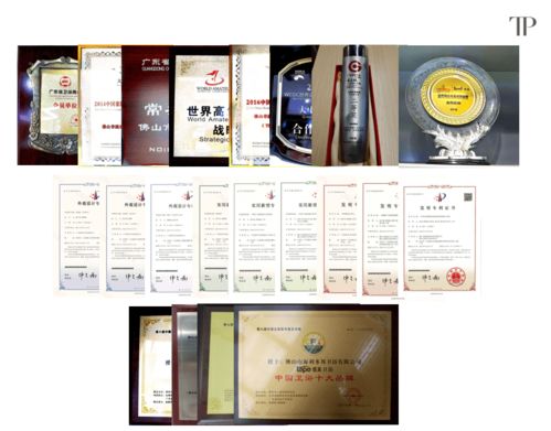 緹派多功能智能衛(wèi)浴工程技術(shù)研究中心榮獲市級(jí)認(rèn)定，引領(lǐng)技術(shù)咨詢新篇章